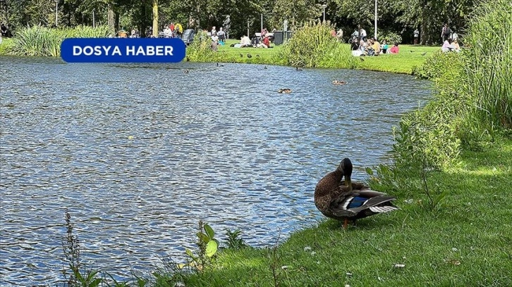 Amsterdam'ın 'hiç uyumayan' parkı: Vondelpark