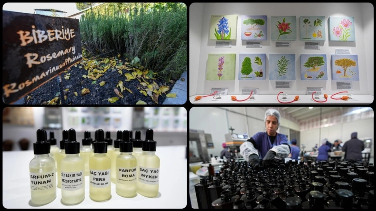 Anadolu'nun güzellik tarifleri Türk kozmetik sektörüne yeni fırsatlar sunuyor