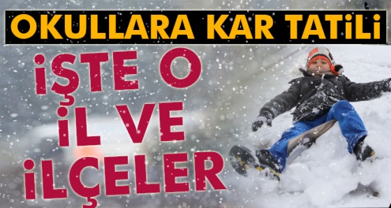 Ankara, İzmir, Konya, Denizli, Çanakkale Türkiye'de okullar tatil mi?