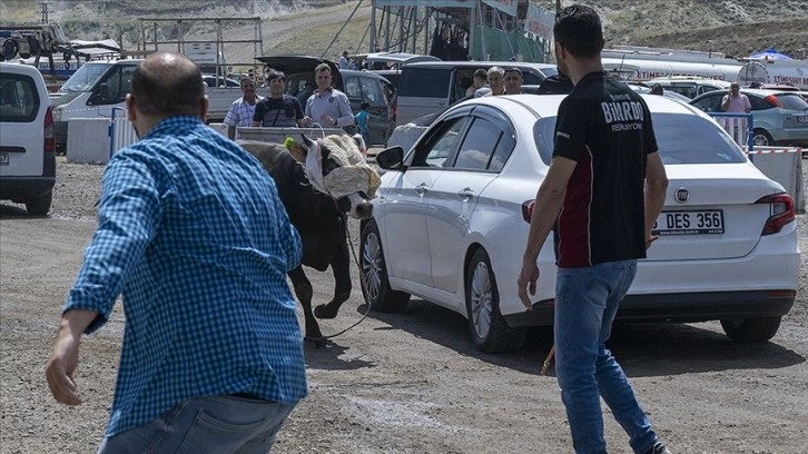 Ankara'da kurban pazarında kaçan boğa çevredekilere zor anlar yaşattı