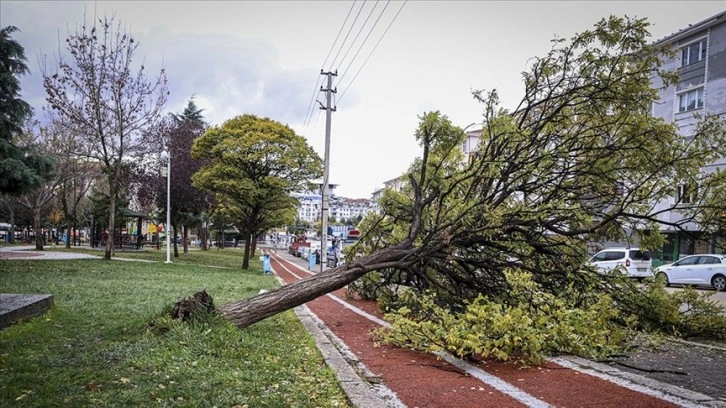 Ankara'da şiddetli rüzgar hayatı olumsuz etkiledi