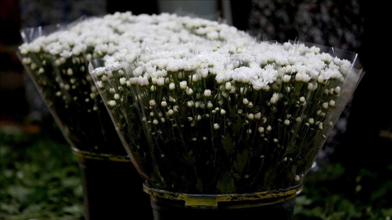 Antalya'da çiçek mezatlarında Öğretmenler Günü yoğunluğu
