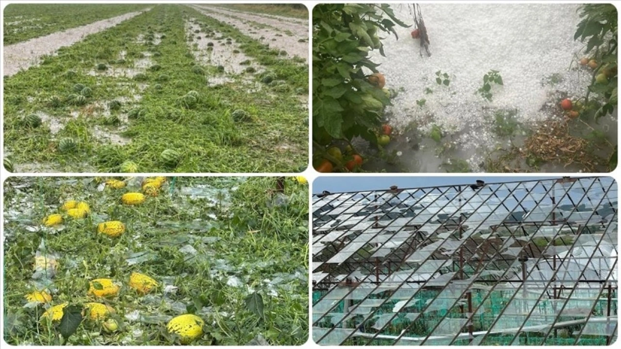 Antalya'da sağanak ve dolu seralara ve ürünlere zarar verdi