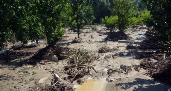 Antalya'da sel zarara yol açtı