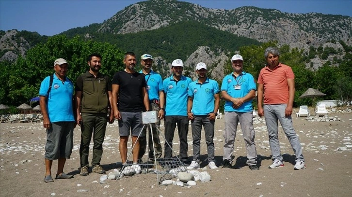 Antalya'da deniz kaplumbağalarının üreme yuvası kafesle korumaya alındı