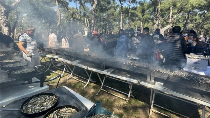 Antalya'daki hamsi şenliğinde 2 ton hamsi tüketildi