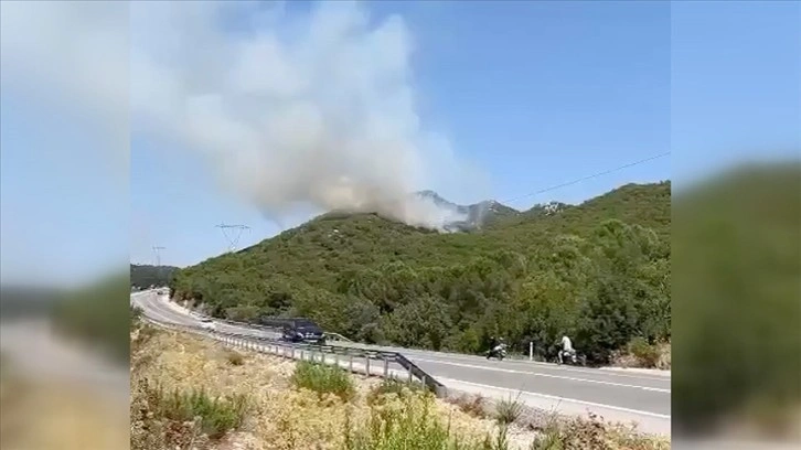 Antalya'nın Demre ilçesinde orman yangını çıktı