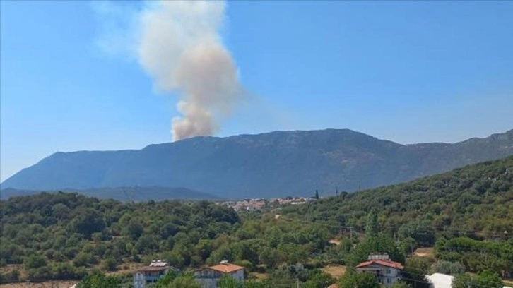 Antalya'nın Kaş ilçesinde makilik alanda yangın çıktı