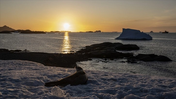 Antarktika'da araştırmacıların şort giymesine sebep olan sıcaklıklara ilişkin araştırma yayımla