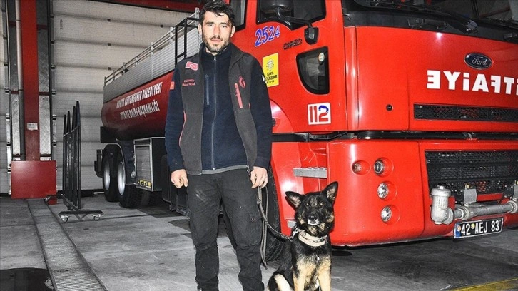 Arama kurtarma köpeği