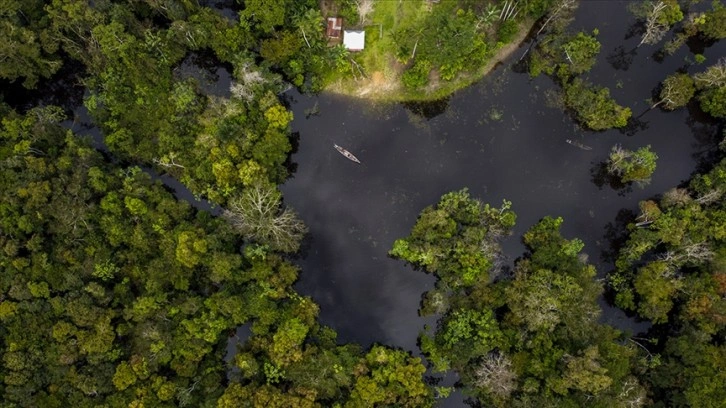 Araştırma: 2023'te Amazonlar'da yaşanan kuraklığın öncül nedeni küresel ısınma