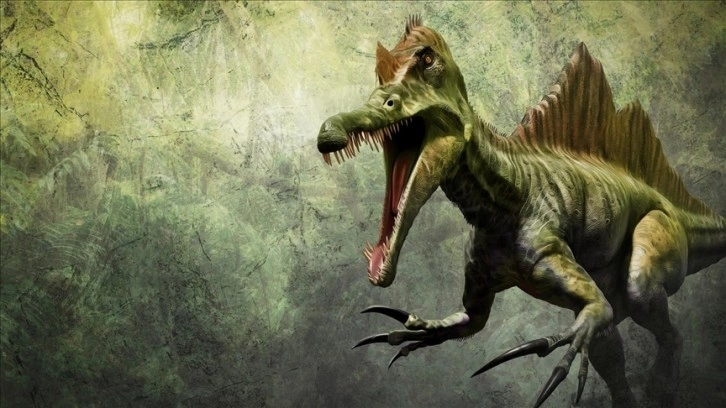 Araştırma: Dinozor türü
