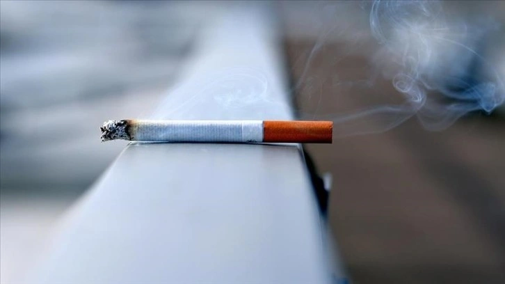 Araştırma: Sigara içenlerde iç organ yağlanması, içmeyenlere göre daha fazla olabilir