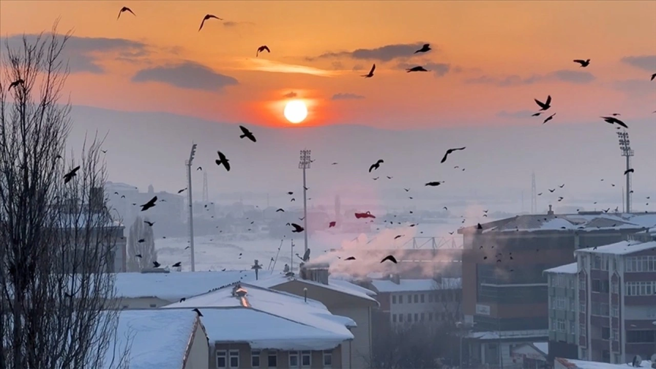 Ardahan'da g&uuml;n batımında kuşların s&uuml;z&uuml;l&uuml;ş&uuml; g&ouml;r&uuml;nt&uuml;lendi
