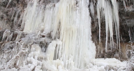 Ardahan'da soğuk hava nedeniyle şelale dondu