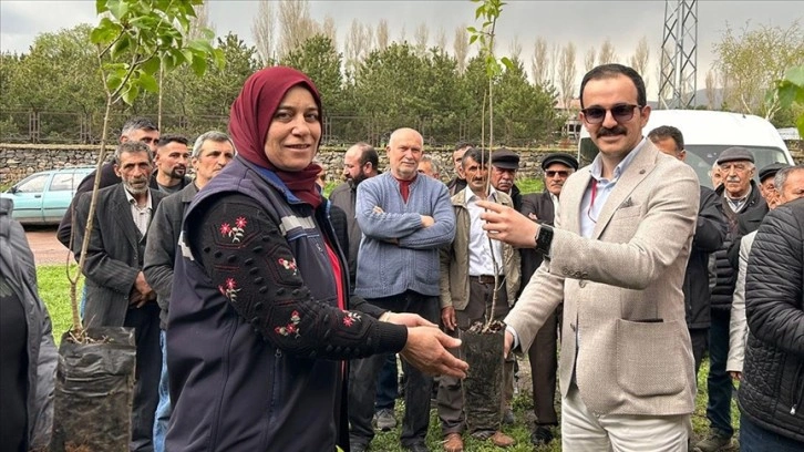 Ardahan'da arıcılıktaki nektarın artırılması için üreticilere 1500 fidan dağıtıldı