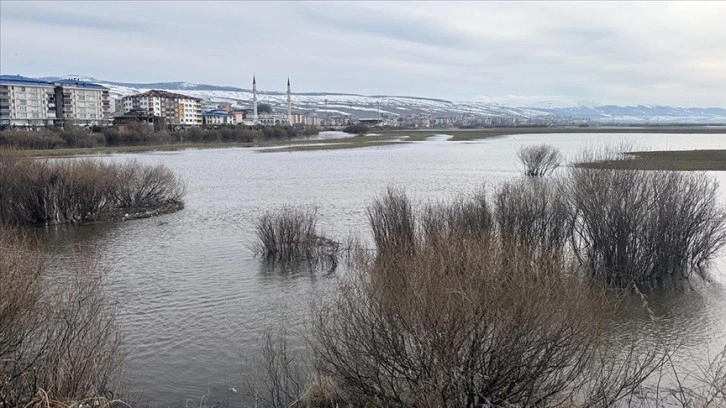 Ardahan'da Kura Nehri eriyen kar birikintileri ve sağanak nedeniyle taştı