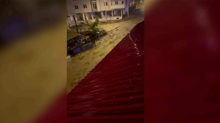 Ardahan'ın Posof ilçesinde etkili olan sağanak ve dolu taşkına yol açtı