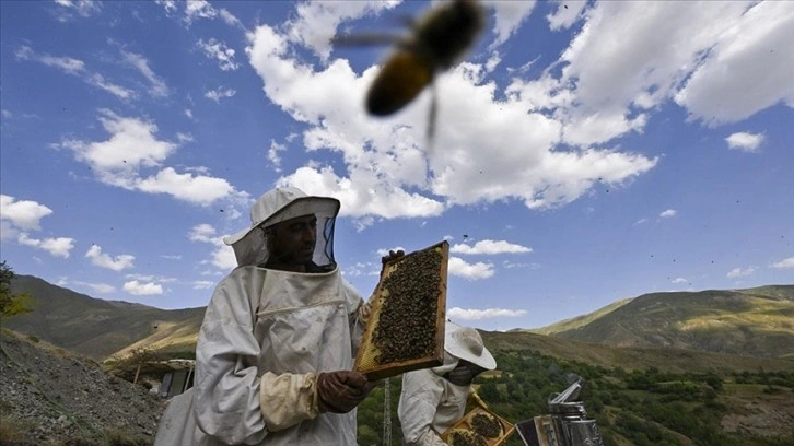 Arıcılık sektörü gelecek yıl arı ürünleri üretimine destek bekliyor