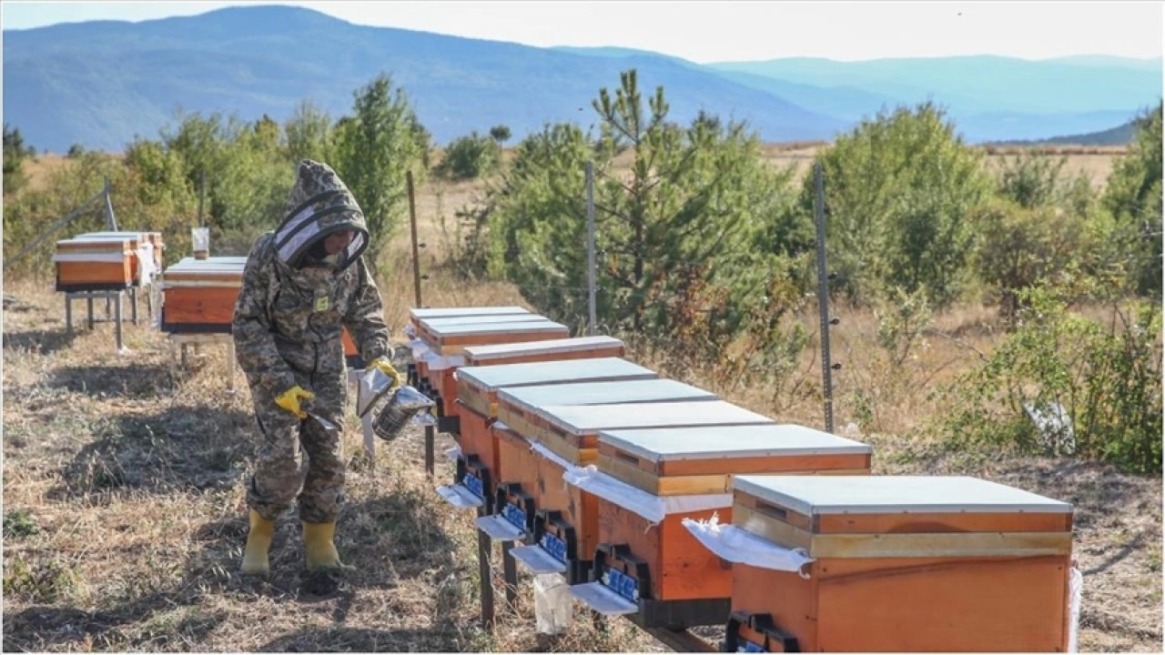 Arıları için her hafta yaklaşık 900 kilometre yol katediyor