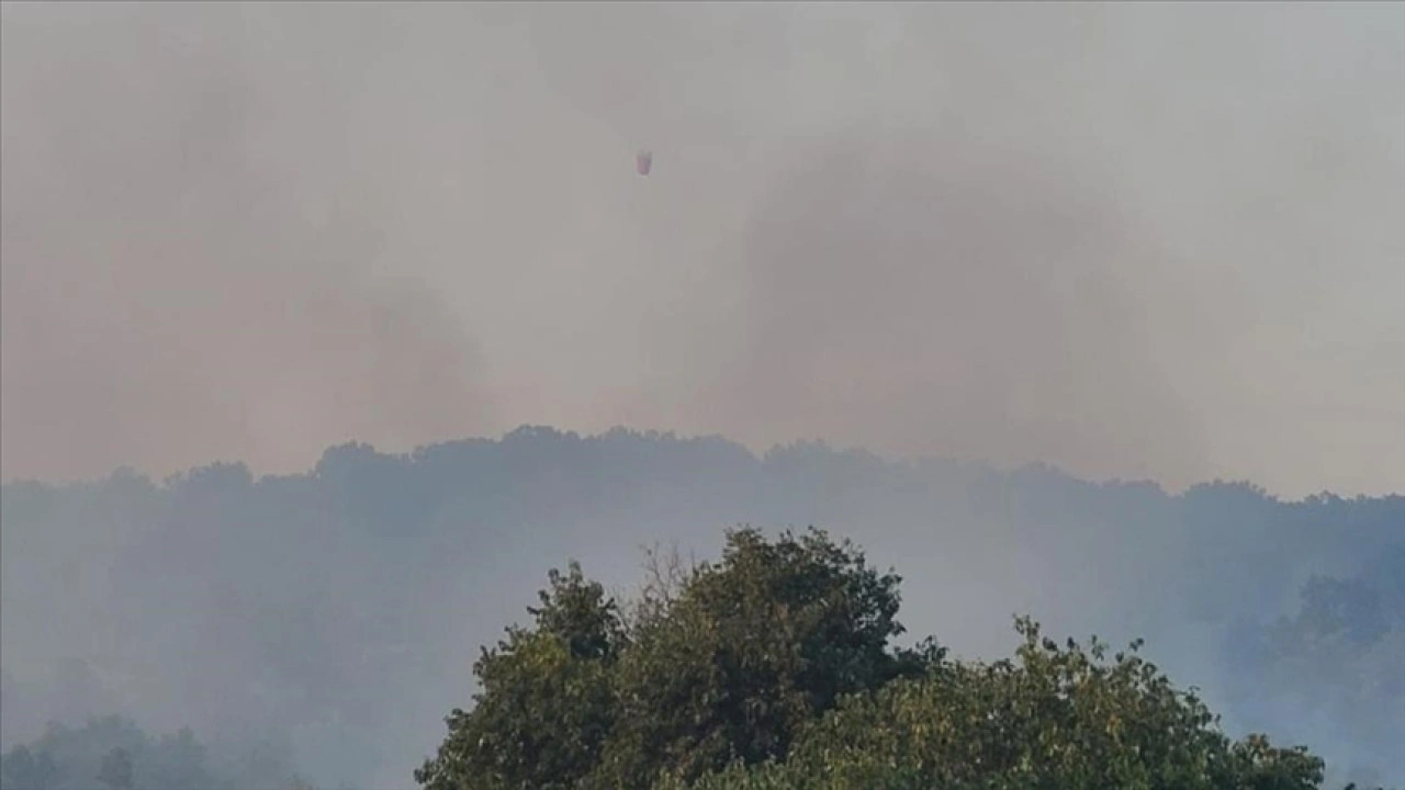 Arnavutluk'ta orman yangınları etkili oluyor
