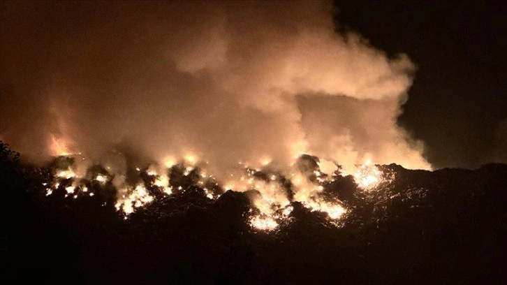 Artvin'de çöp sahasında yangın çıktı