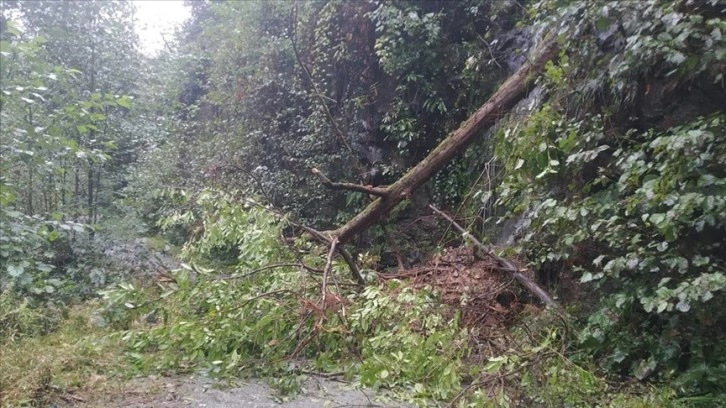 Artvin'de heyelan nedeniyle kapanan köy yolları ulaşıma açıldı