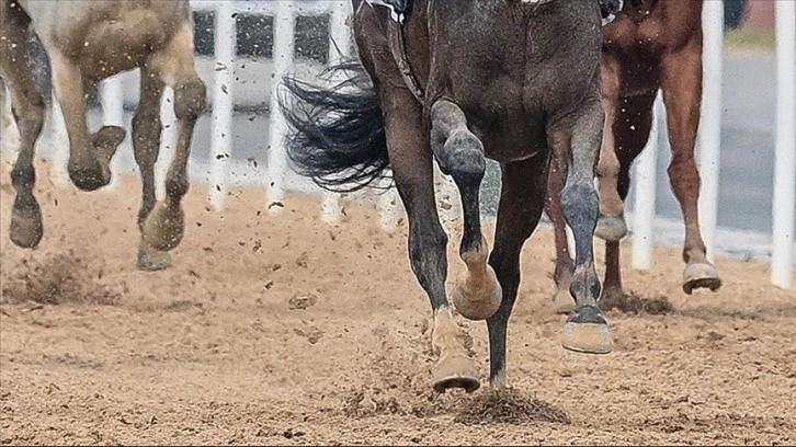 At yarışlarında "doping" kavramı yerine "yasaklı madde" ifadesi kullanılacak