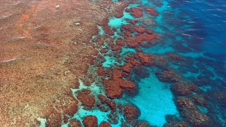 Avustralya, Büyük Set Resifi için UNESCO'nun önerdiği 