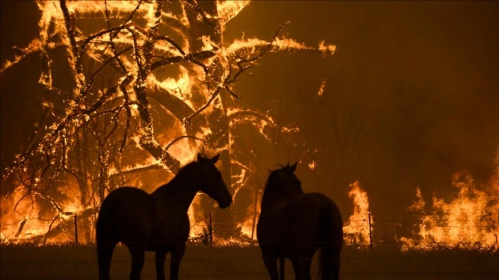 Avustralya'nın güneydoğusundaki orman yangınları 