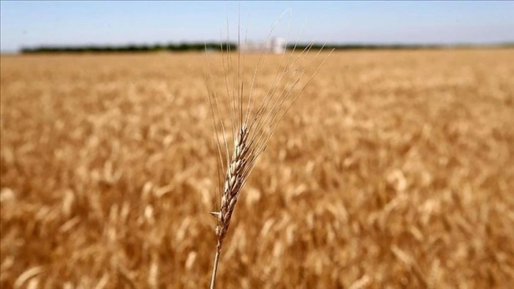 Avusturya'dan Rusya’ya 