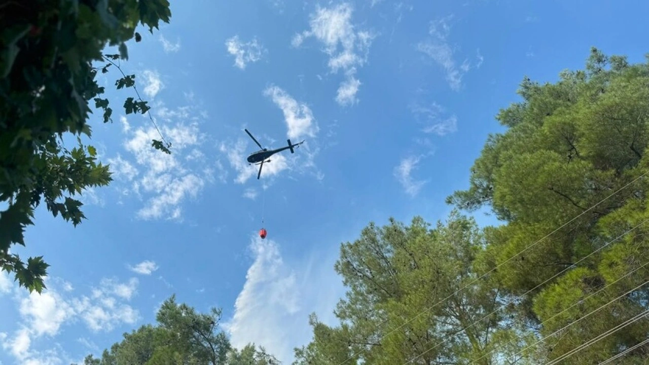 Aydın'da &ccedil;ıkan orman yangınına m&uuml;dahale ediliyor