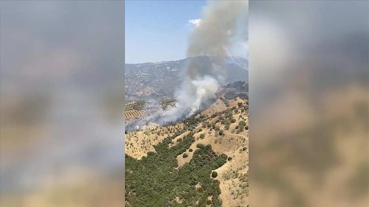 Aydın'da ziraat alanında çıkan yangına müdahale ediliyor