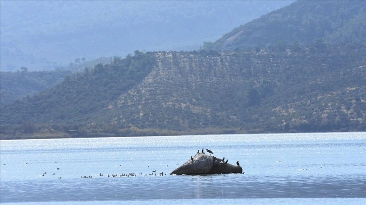 Bafa Gölü 261 kuş türüne ev sahipliği yapıyor