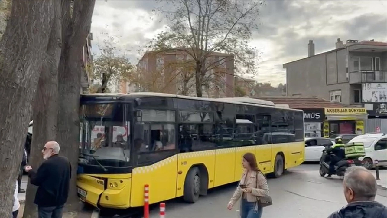 Bağcılar'da İETT otobüsü ağaca çarptı