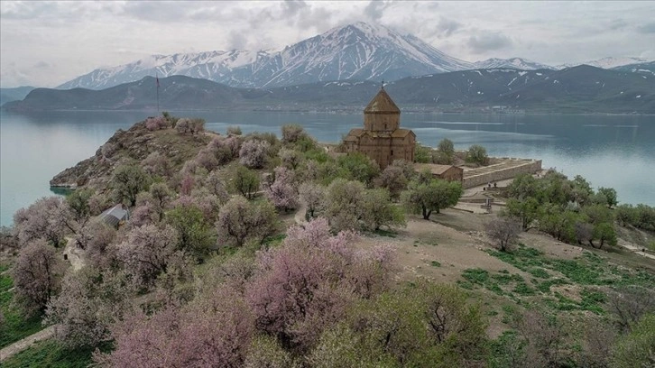 Baharın tonlarına bürünen Akdamar Adası 'Badem Çiçeği Festivali'ne hazır