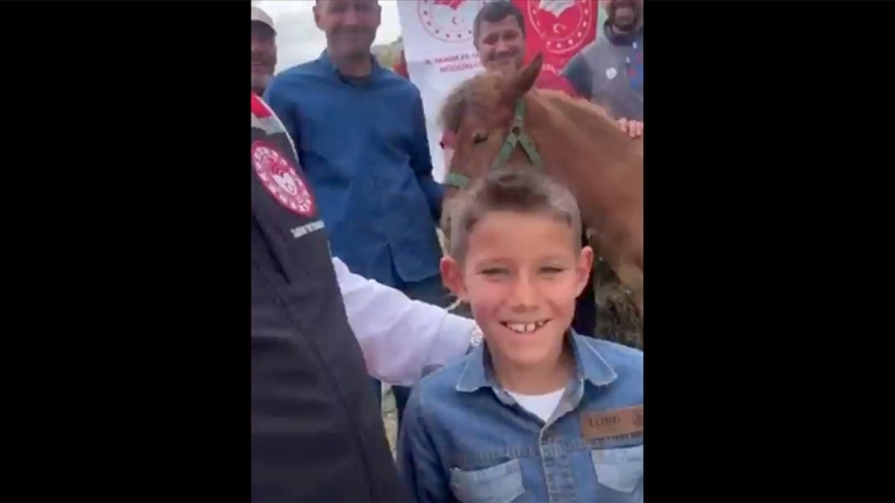 Bakan Yumaklı, yaralı tay "Nazlı" için yapılan yardım çağrısını karşılıksız bırakmadı