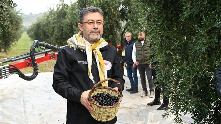 Bakan Yumaklı: Zeytin üzerinden yapılan spekülasyonlara itibar etmeyin