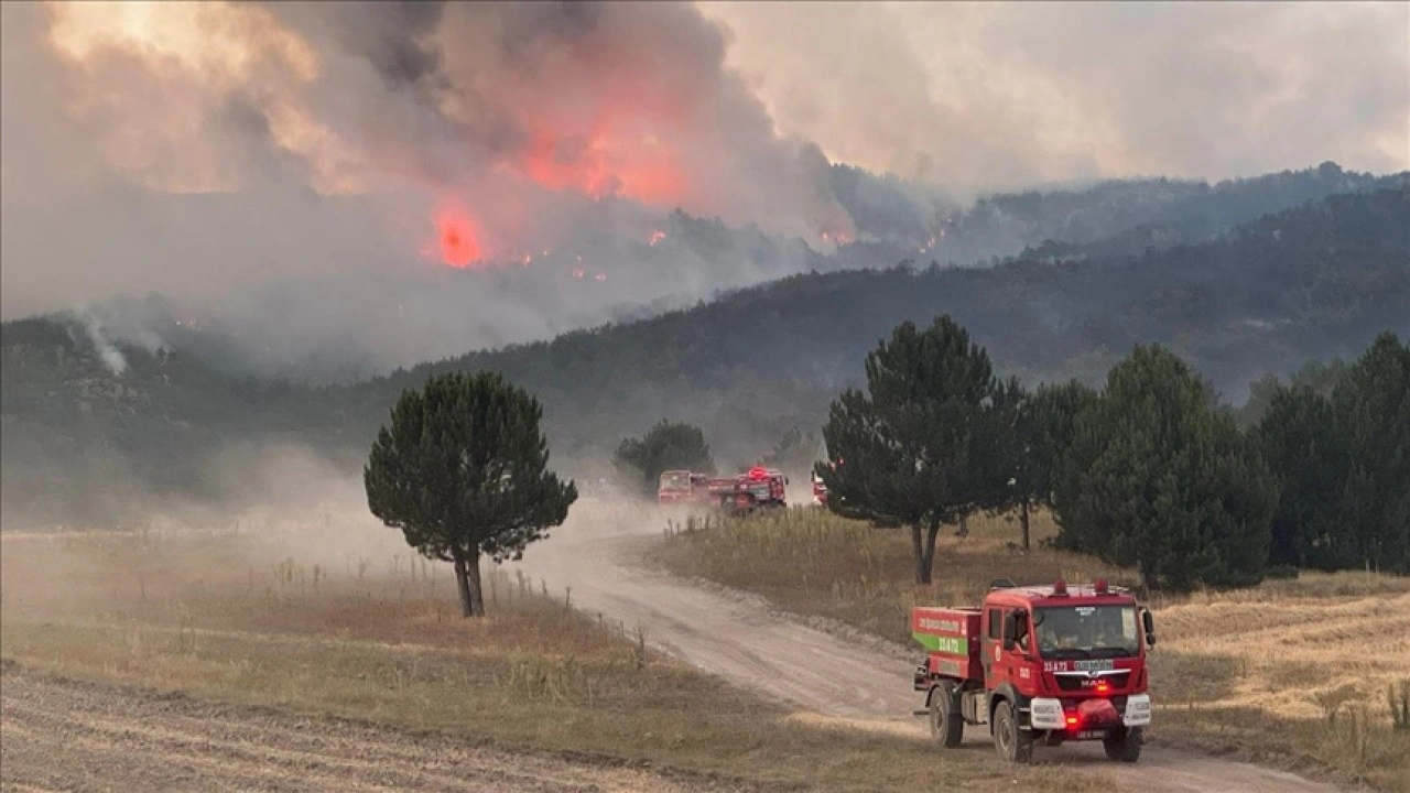 Bakanlardan, Eskişehir'deki orman yangını şehitleri için taziye mesajı
