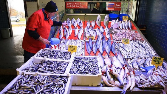 Balıkçılar 'demir attı', fiyat tezgaha yansıdı