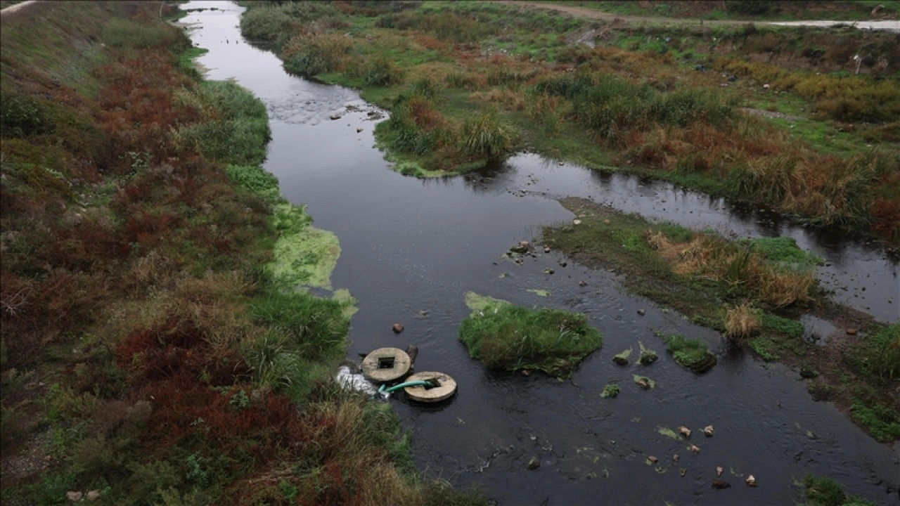 Balıkesir'deki Gönen Çayı'nda kirliliğe karşı tedbir çağrısı