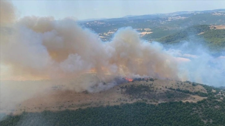 Balıkesir'in Altıeylül ilçesinde çıkan orman yangını kontrol altına alındı