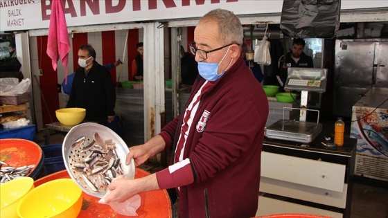 Bandırmalı balıkçıların yüzünü 'balık bolluğu' güldürüyor