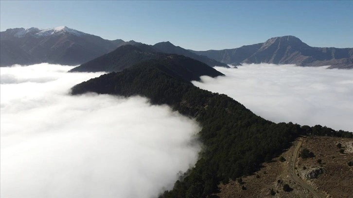 Başkarcı Dağı'nın zirvesi 'bulut denizi'yle kaplandı