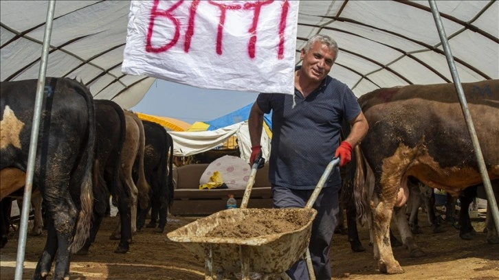 Başkentte hayvan pazarlarındaki kurbanlıkların büyük bölümü satıldı