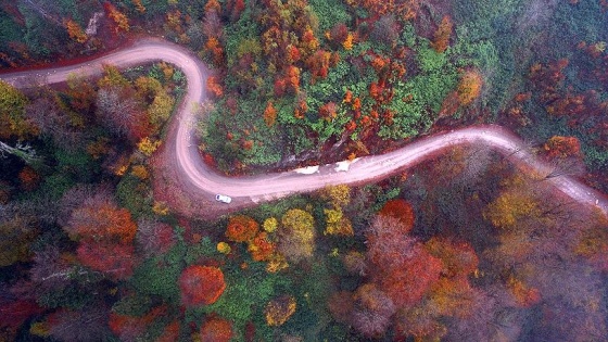 Batı Karadeniz yaylalarında 'hüzünlü güz' vedası