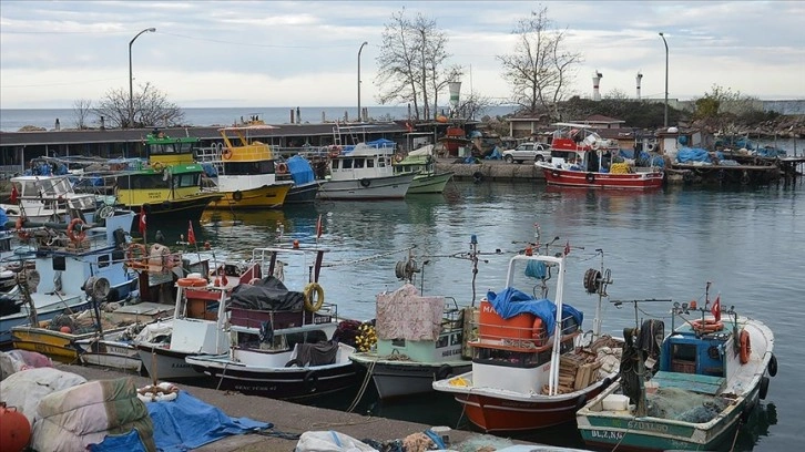 Batı Karadeniz'de balıkçılar hamside umduğunu bulamadı