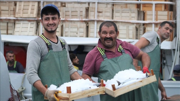 Batı Karadenizli balıkçılar limana bol palamutla döndü