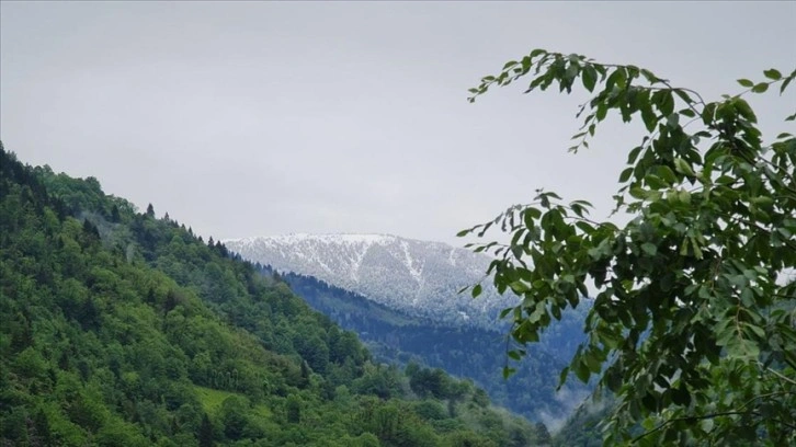 Bayburt ve Rize'nin yüksek kesimlerine kar yağdı