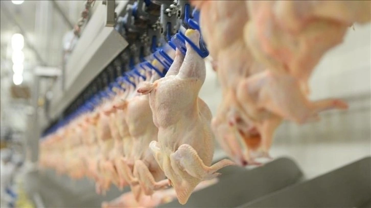 Beyaz et sektöründeki 4 firmaya 1,2 milyar lira rekabet cezası